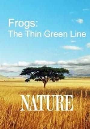 Frogs: The Thin Green Line - 纪录片1080P/720P/360P高清标清网盘迅雷下载