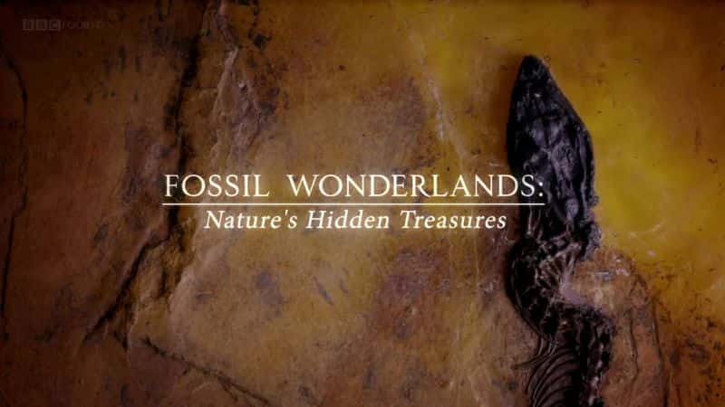 Fossil Wonderlands: Nature's Hidden Treasures - 纪录片1080P/720P/360P高清标清网盘迅雷下载