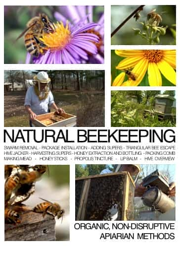 Natural Beekeeping - 纪录片1080P/720P/360P高清标清网盘迅雷下载