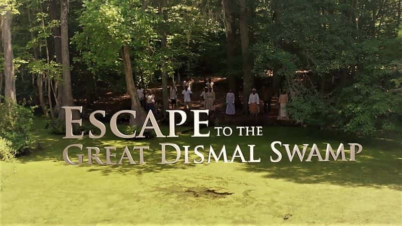 Escape to the Great Dismal Swamp - 纪录片1080P/720P/360P高清标清网盘迅雷下载