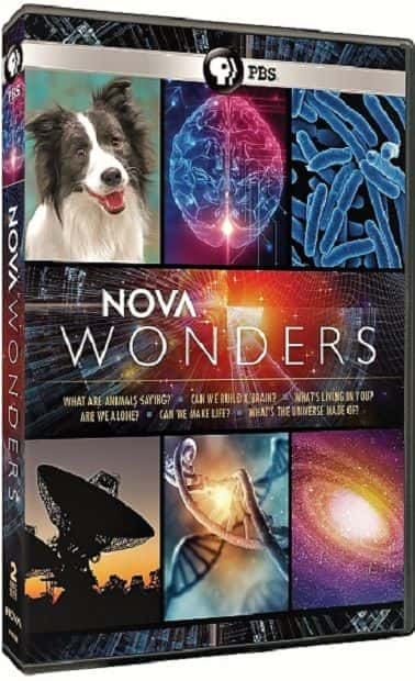 NOVA Wonders Series 1 Part 6: What's the Universe Made of? - 纪录片1080P/720P/360P高清标清网盘迅雷下载