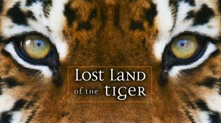 Lost Land of the Tiger - 纪录片1080P/720P/360P高清标清网盘迅雷下载