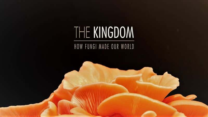 The Kingdom: How Fungi Made Our World - 纪录片1080P/720P/360P高清标清网盘迅雷下载