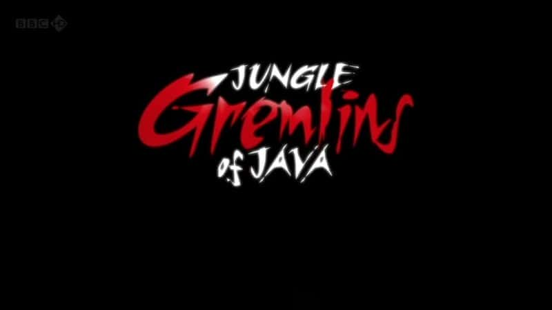 Jungle Gremlins of Java - 纪录片1080P/720P/360P高清标清网盘迅雷下载