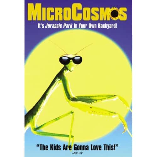 Microcosmos - 纪录片1080P/720P/360P高清标清网盘迅雷下载