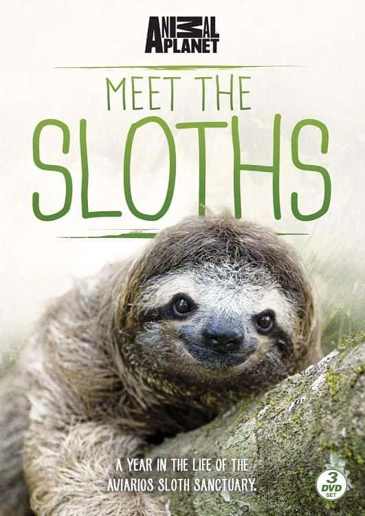 Meet the Sloths - 纪录片1080P/720P/360P高清标清网盘迅雷下载