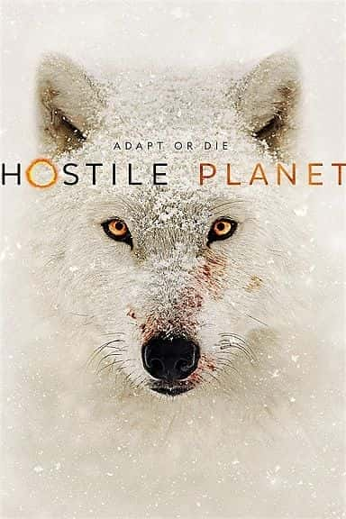 Hostile Planet: Series 1 - 纪录片1080P/720P/360P高清标清网盘迅雷下载