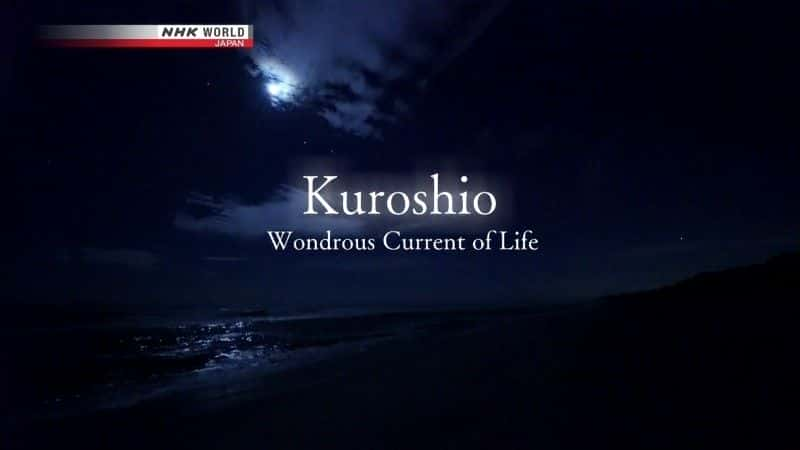 Kuroshio: Wondrous Current of Life - 纪录片1080P/720P/360P高清标清网盘迅雷下载