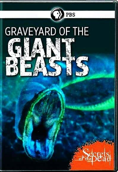 Graveyard of the Giant Beasts - 纪录片1080P/720P/360P高清标清网盘迅雷下载