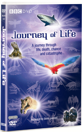 Journey of Life - 纪录片1080P/720P/360P高清标清网盘迅雷下载