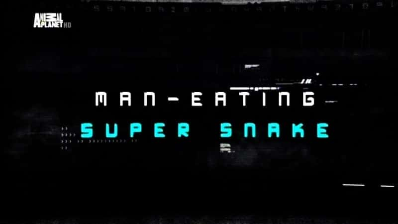 Man-Eating Super Snake - 纪录片1080P/720P/360P高清标清网盘迅雷下载