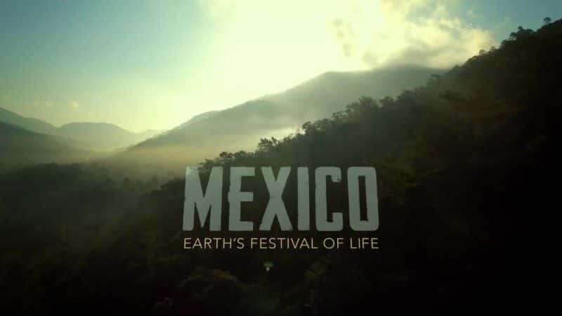 Mexico: Earth's Festival of Life - 纪录片1080P/720P/360P高清标清网盘迅雷下载