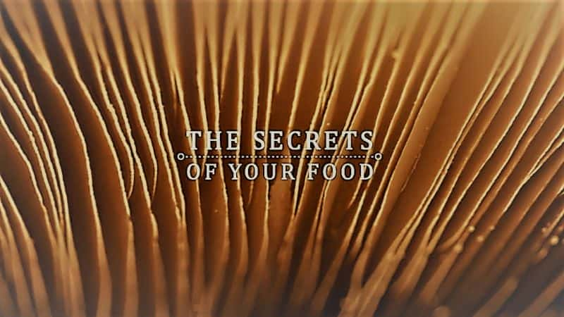 The Secrets of Your Food: Series 1 - 纪录片1080P/720P/360P高清标清网盘迅雷下载