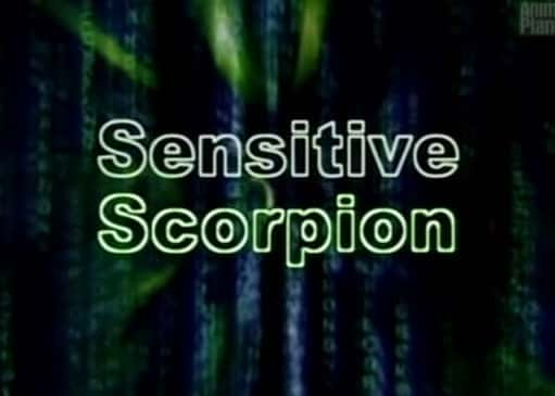 Sensitive Scorpion - 纪录片1080P/720P/360P高清标清网盘迅雷下载