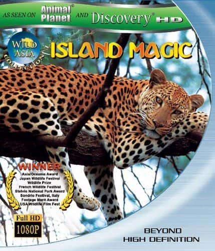 Wild Asia Island Magic - 纪录片1080P/720P/360P高清标清网盘迅雷下载