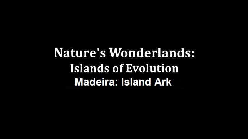 Nature's Wonderlands: Islands of Evolution - Madeira - 纪录片1080P/720P/360P高清标清网盘迅雷下载