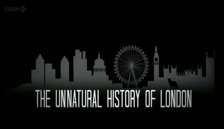 Unnatural History of London - 纪录片1080P/720P/360P高清标清网盘迅雷下载