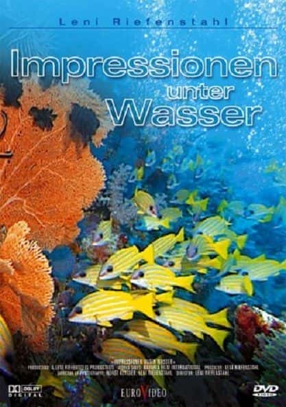 Underwater Impressions - 纪录片1080P/720P/360P高清标清网盘迅雷下载