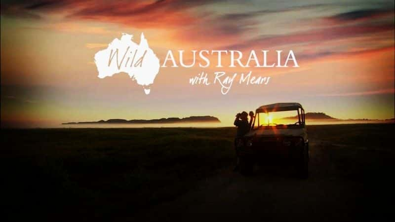 Wild Australia with Ray Mears Series 1 - 纪录片1080P/720P/360P高清标清网盘迅雷下载