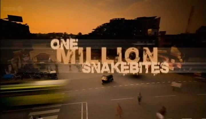 One Million Snake Bites - 纪录片1080P/720P/360P高清标清网盘迅雷下载 One Million Snake Bites - 纪录片1080P/720P/360P高清标清网盘迅雷下载
