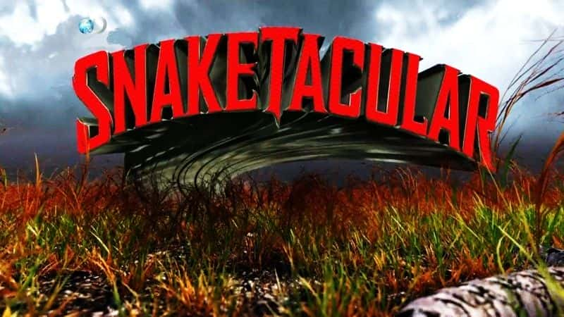 Snaketacular - 纪录片1080P/720P/360P高清标清网盘迅雷下载