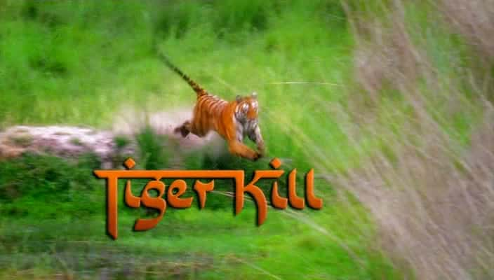 Tiger Kill - 纪录片1080P/720P/360P高清标清网盘迅雷下载