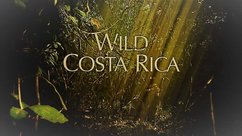 Wild Costa Rica - 纪录片1080P/720P/360P高清标清网盘迅雷下载