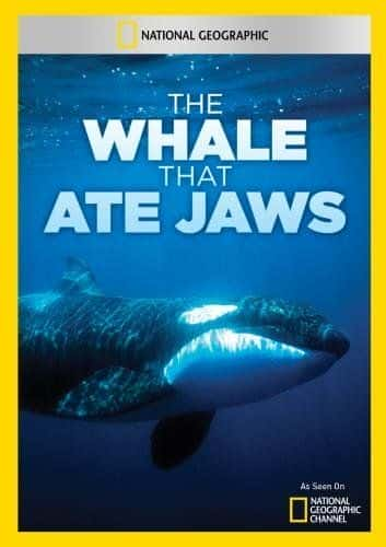 The Whale that Ate Jaws - 纪录片1080P/720P/360P高清标清网盘迅雷下载