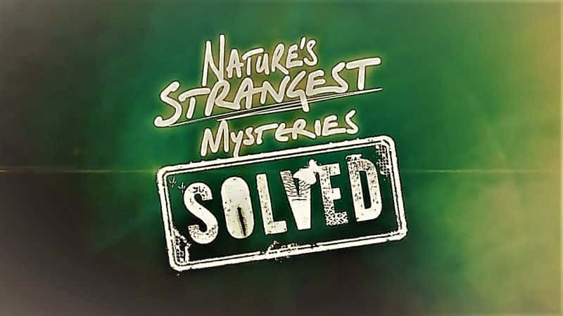 Natures Strangest Mysteries Solved Series 1 Part 12: Snowboarding Crow - 纪录片1080P/720P/360P高清标清网盘迅雷下载