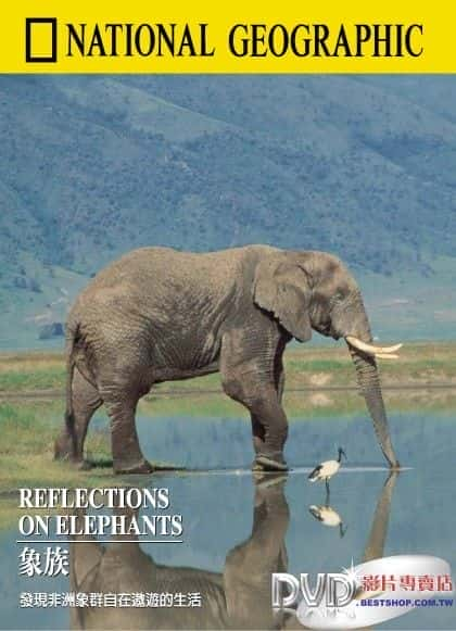 Reflections on Elephants - 纪录片1080P/720P/360P高清标清网盘迅雷下载