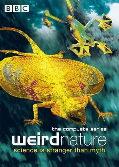 Weird Nature: Series 1 - 纪录片1080P/720P/360P高清标清网盘迅雷下载