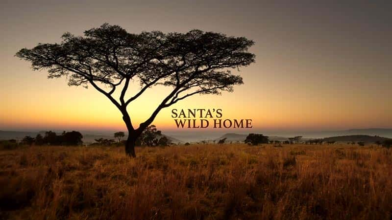 Santa's Wild Home - 纪录片1080P/720P/360P高清标清网盘迅雷下载