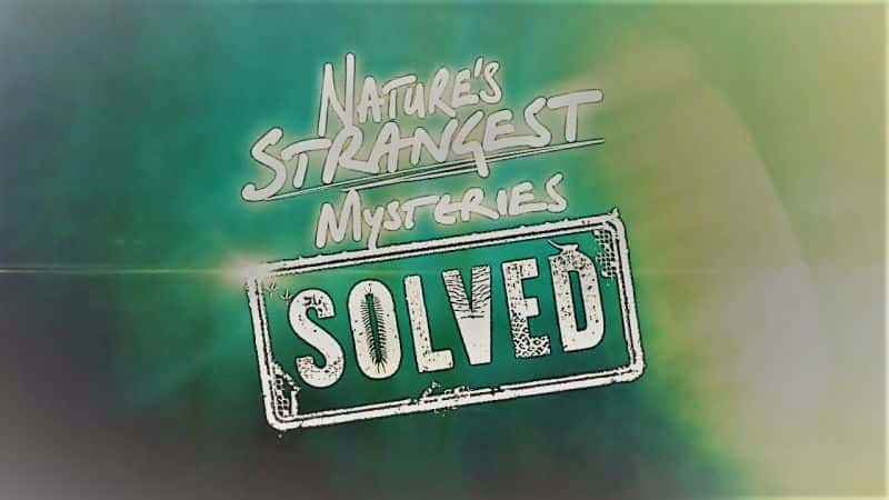 Natures Strangest Mysteries Solved Series 1 Part 22: Elephants in the Room - 纪录片1080P/720P/360P高清标清网盘迅雷下载