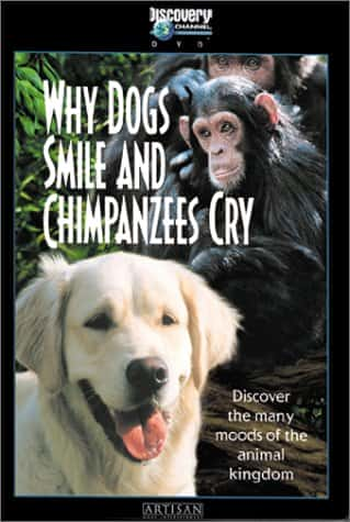 Why Dogs Smile and Chimpanzees Cry - 纪录片1080P/720P/360P高清标清网盘迅雷下载