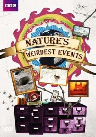 Nature's Weirdest Events: Series 5 - 纪录片1080P/720P/360P高清标清网盘迅雷下载