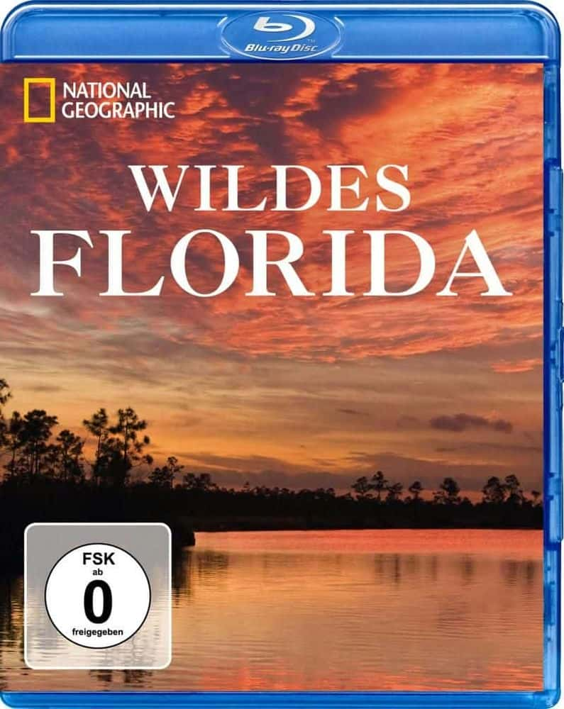 Wild Florida - 纪录片1080P/720P/360P高清标清网盘迅雷下载