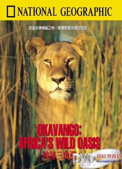 Okavango: Africa's Wild Oasis - 纪录片1080P/720P/360P高清标清网盘迅雷下载