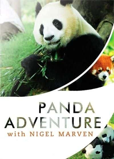 Panda Adventure with Nigel Marven - 纪录片1080P/720P/360P高清标清网盘迅雷下载