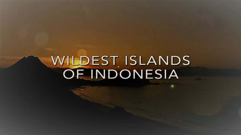 Wildest Islands of Indonesia: Series 1 - 纪录片1080P/720P/360P高清标清网盘迅雷下载