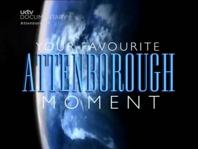 Your Favourite Attenborough Moment - 纪录片1080P/720P/360P高清标清网盘迅雷下载