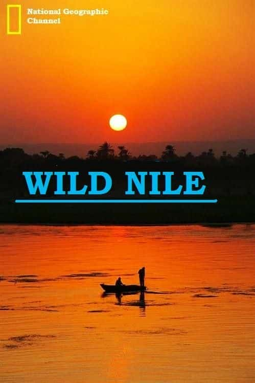 Wild Nile - 纪录片1080P/720P/360P高清标清网盘迅雷下载