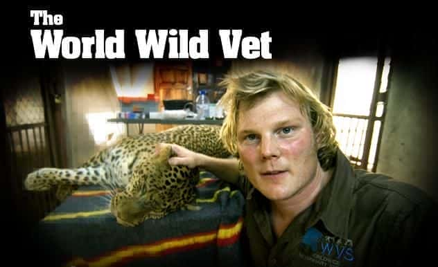 The World Wild Vet Series1 - 纪录片1080P/720P/360P高清标清网盘迅雷下载