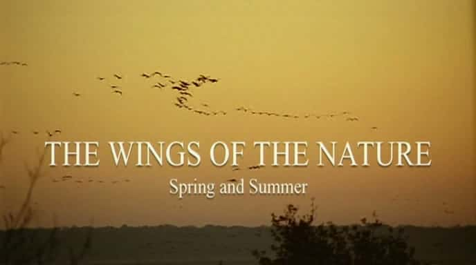 The Wings of Nature - 纪录片1080P/720P/360P高清标清网盘迅雷下载