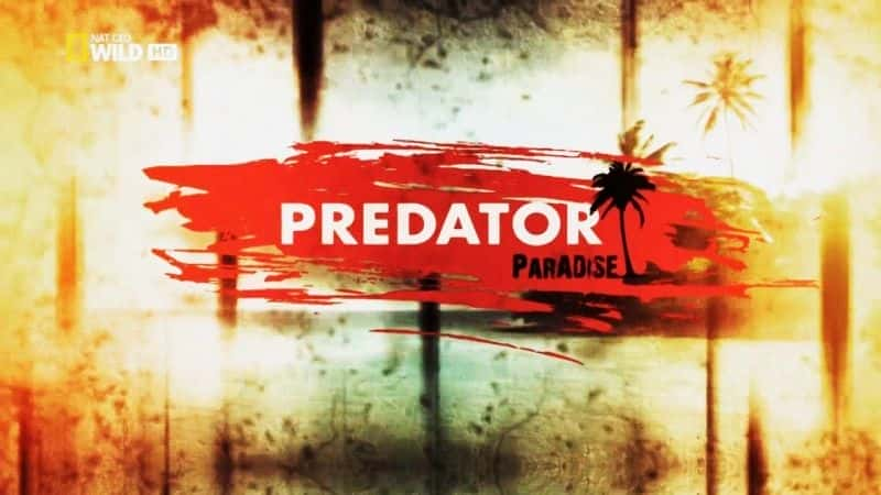 World's Deadliest: Predator Paradise - 纪录片1080P/720P/360P高清标清网盘迅雷下载