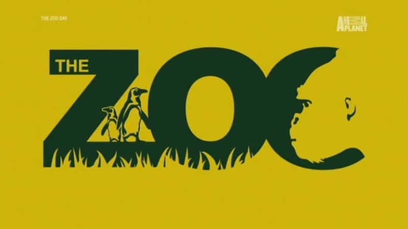 The Zoo: Series 4 Dublin - 纪录片1080P/720P/360P高清标清网盘迅雷下载