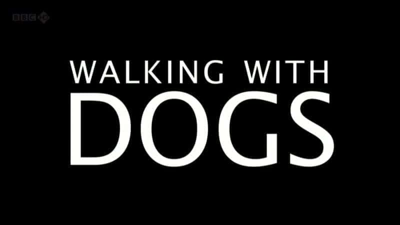 Walking with Dogs - 纪录片1080P/720P/360P高清标清网盘迅雷下载