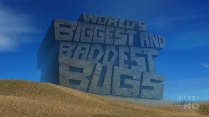 World's Biggest and Baddest Bugs - 纪录片1080P/720P/360P高清标清网盘迅雷下载