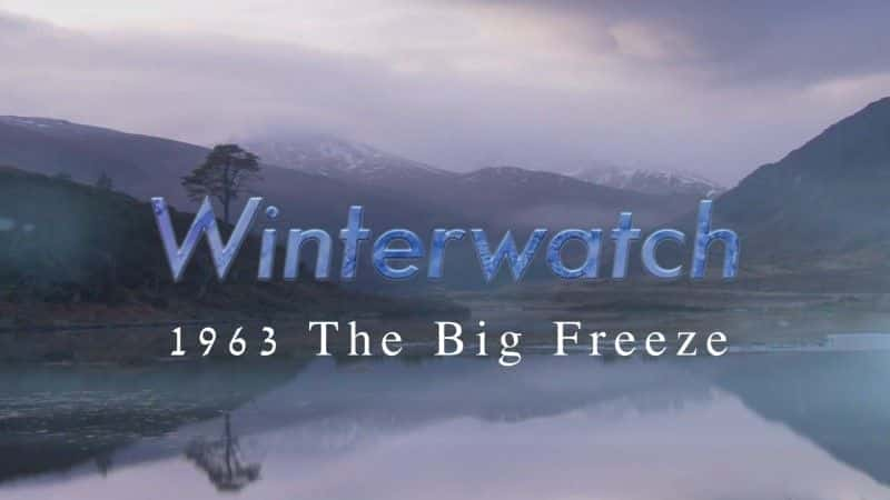 Winterwatch 1963: The Big Freeze - 纪录片1080P/720P/360P高清标清网盘迅雷下载