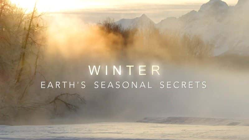 Winter: Earth's Seasonal Secrets - 纪录片1080P/720P/360P高清标清网盘迅雷下载