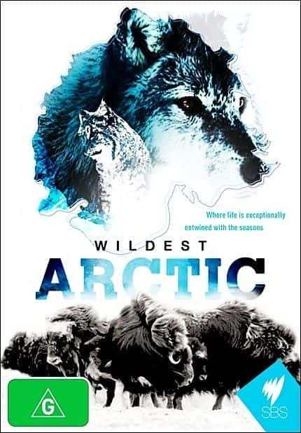 Wildest Arctic - 纪录片1080P/720P/360P高清标清网盘迅雷下载